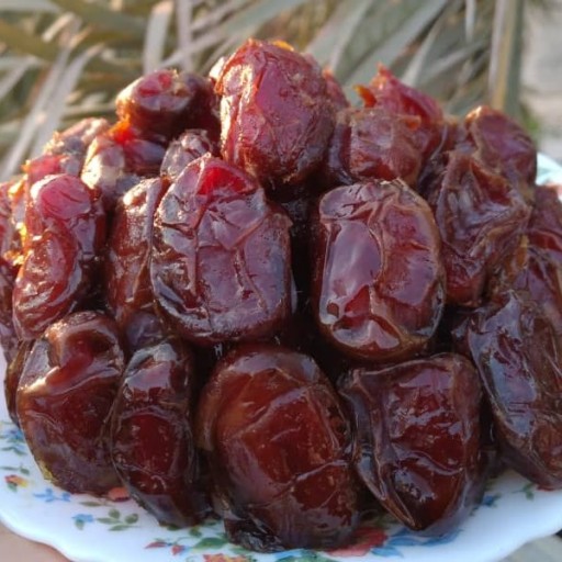 تصویر 2 از خرمای کبکاب دشتستان با کشت ارگانیک